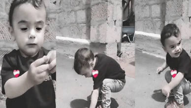 Трогательное видео
