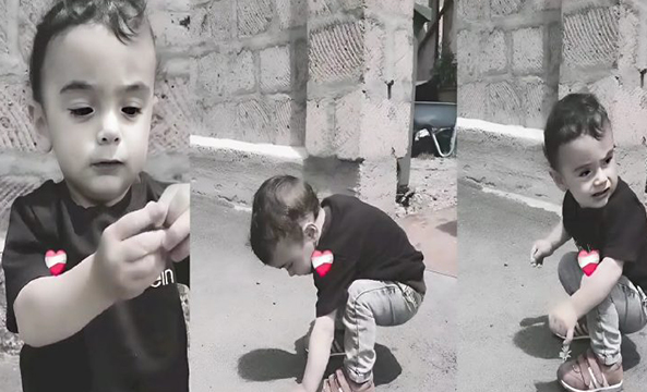 Трогательное видео