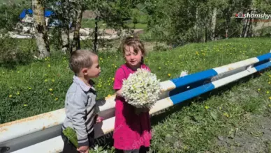 Маленькие жизни под угрозой
