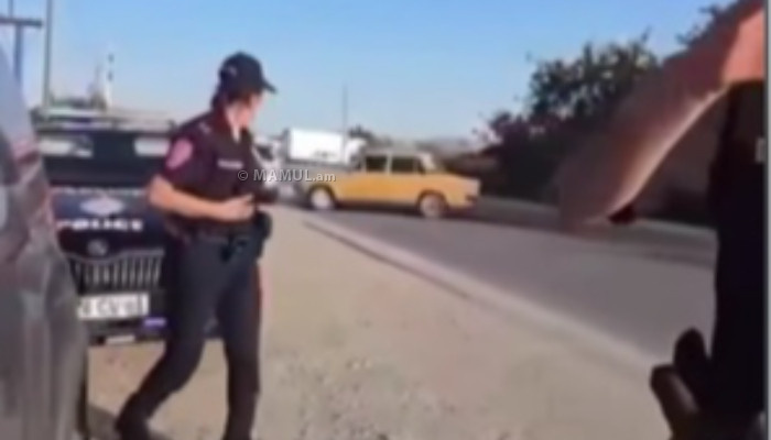 МВД опубликовало видео