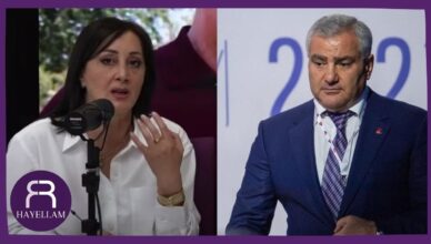 Кто звонил Самвелу Карапетяну