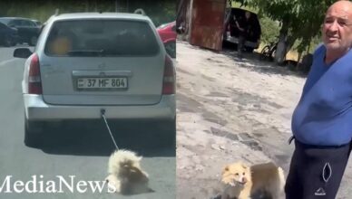 Подробности: Видео