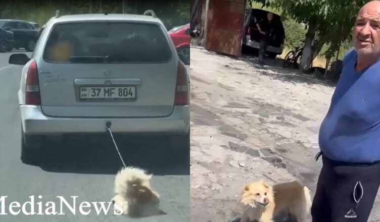 Подробности: Видео