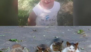 Маленький Тигран