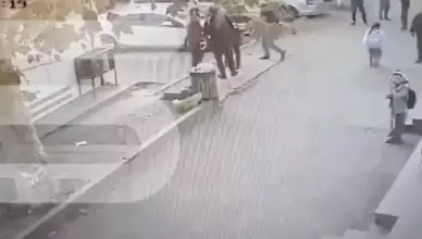 Камера запечатлела