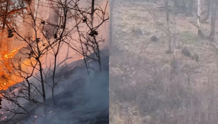 Трогательное видео