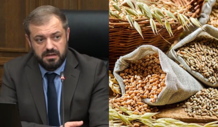 Министр Папоян