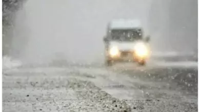 Погода в ближайшие дни