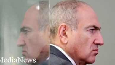 Пашинян поделился статьей