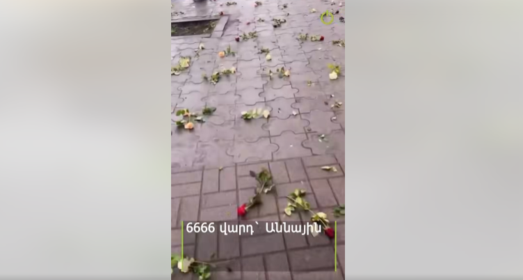 6666 роз для Анны