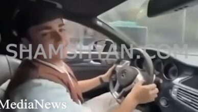 Шокирующий инцидент в Ереване