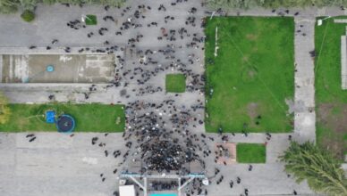 Гюмри