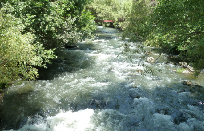 Памбак