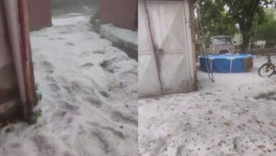 Суренян опубликовал видео.