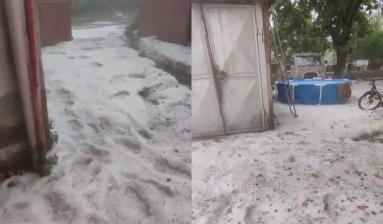 Суренян опубликовал видео.