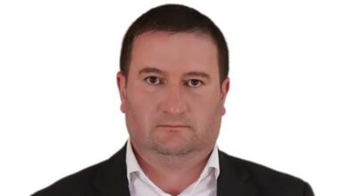 Веди