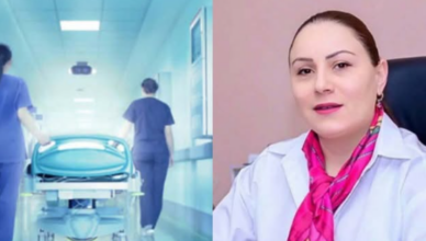 Что искали инспекторы