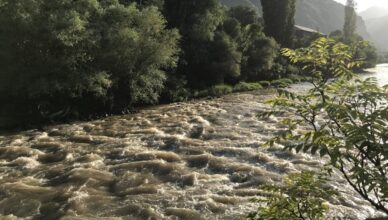 Армения